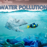 water pollution